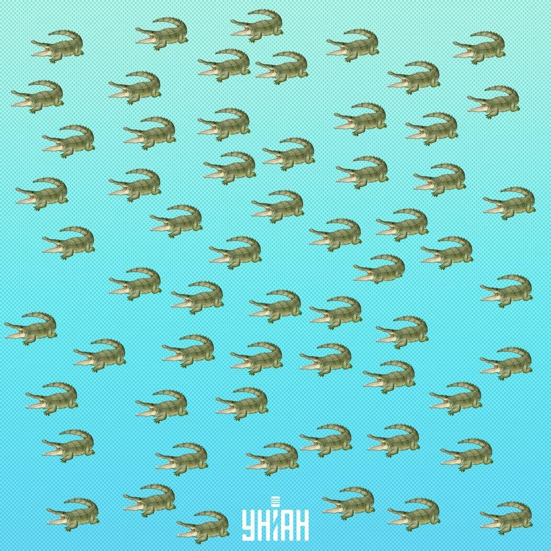 Matelija piiloutui, mutta se on nähtävä 15 sekunnissa / Kollaasi Moje