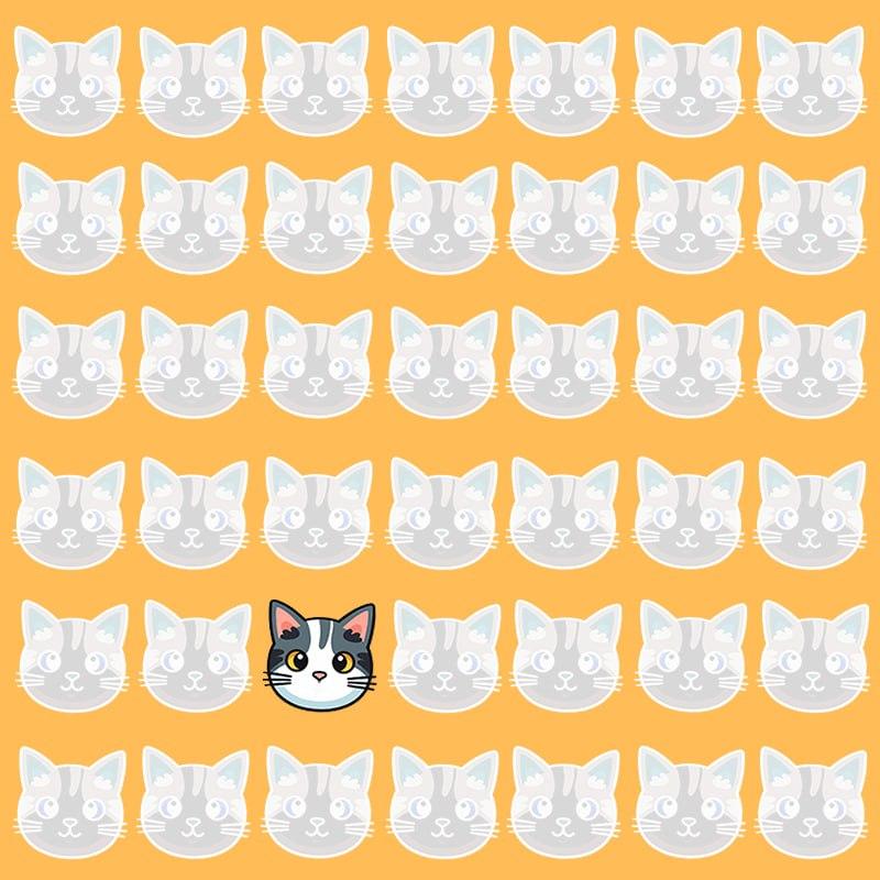 Tämä optinen harha on mahdollista vain ihmisille, joilla on hyvä älykkyysosamäärä / kuva Moje