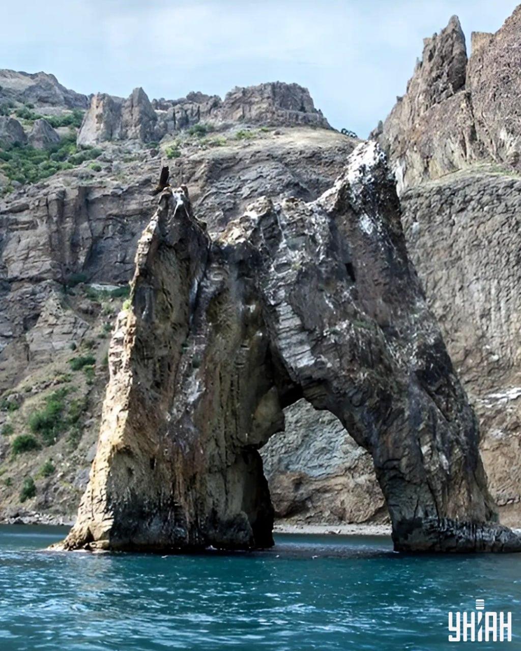 Sinun on löydettävä kotka arvoituskuvasta alle 10 sekunnissa / kollaasi valokuvilla Moje