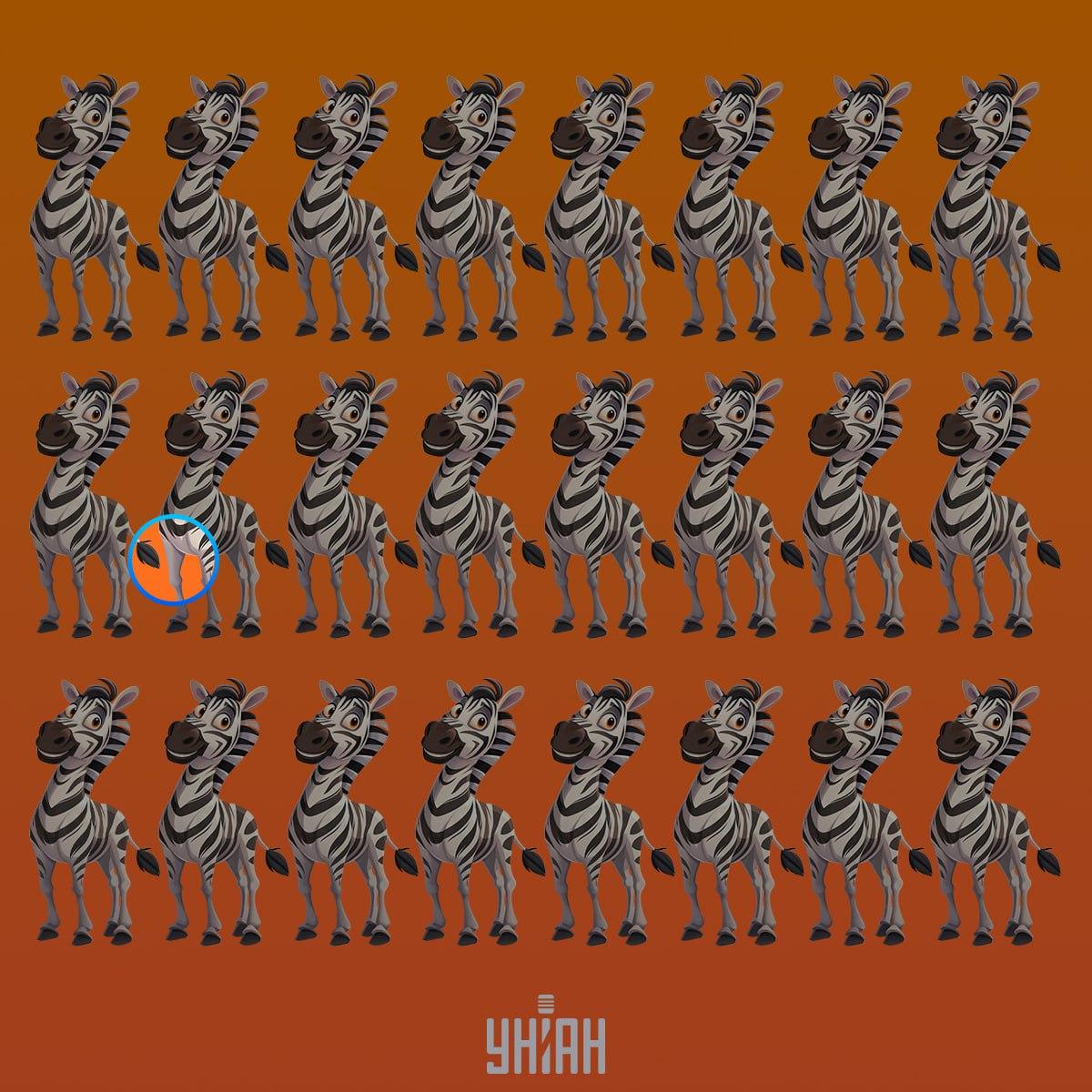 Outo seepra oli toisella rivillä ylhäältä / Moje kollaasi