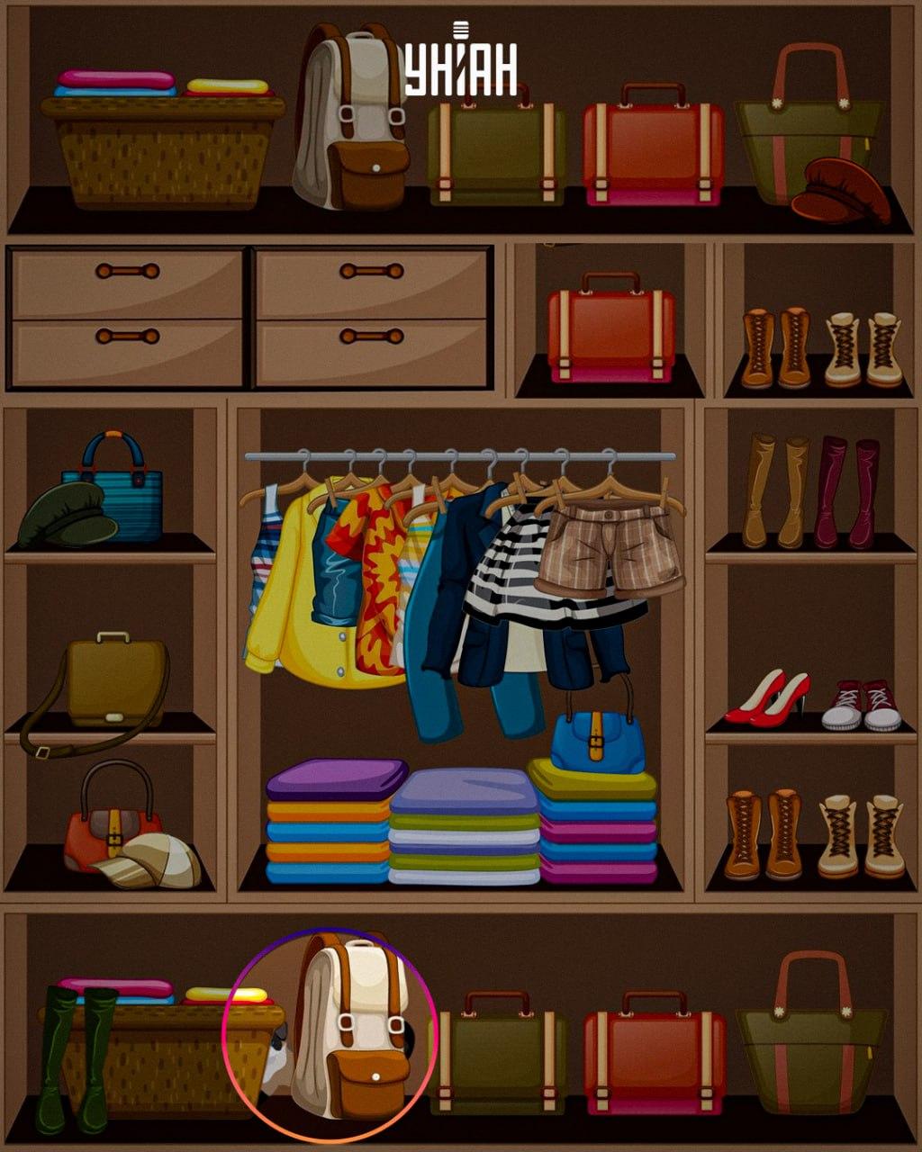 Ovela eläin asetettiin kuvan / kollaasin Moje alaosaan