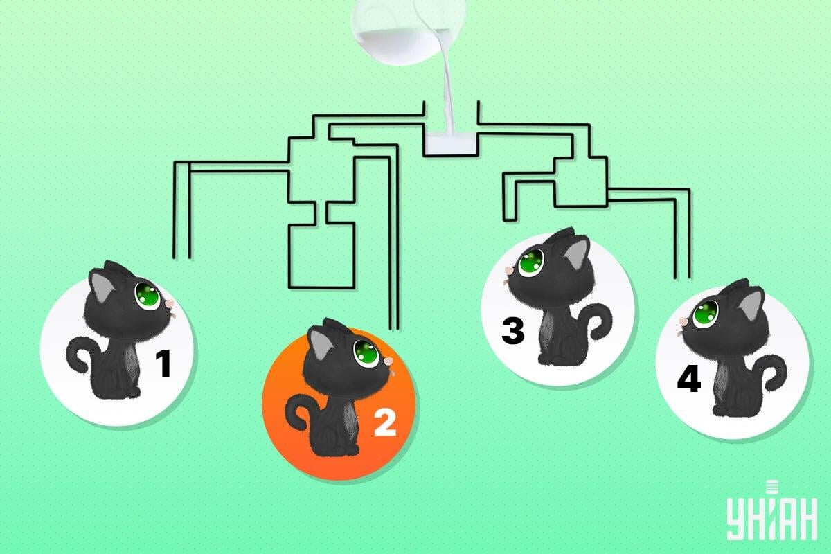 Onnekas kissa oli numero 2 / kollaasi Moje