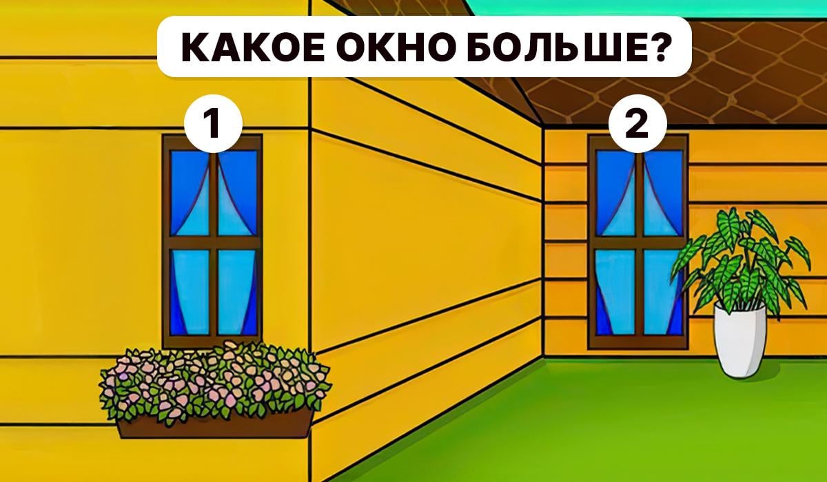 Meidän on ymmärrettävä, mikä ikkuna on suurempi / Moje-kollaasi