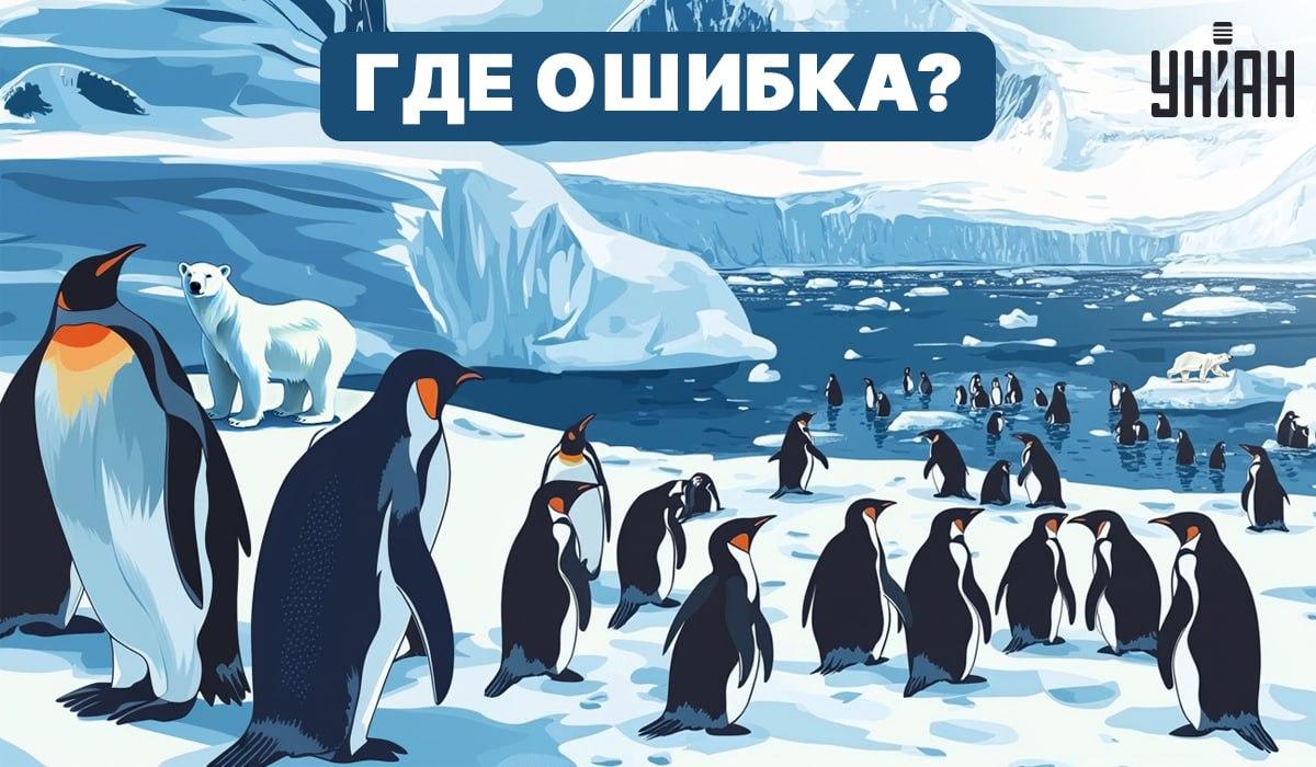 Voitko selvittää mikä kuvassa on vialla? / Moje