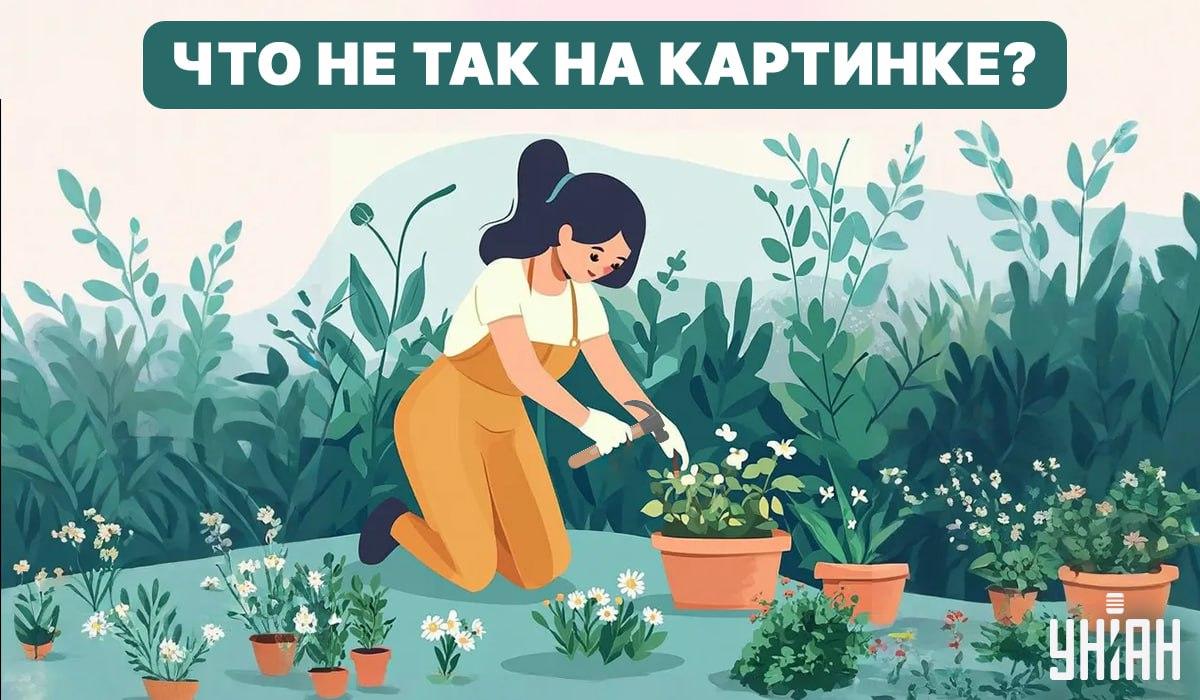 Yritä löytää virhe / kollaasi - Moje