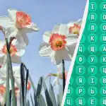 98 % ihmisistä ei löydä sanaa "kevät" 10 sekunnissa: yllättävän