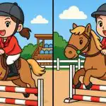 ÄO-testi: sinun on löydettävä 3 eroa hevosen tytön kuvasta 47