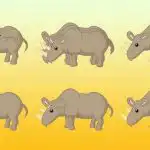 Kuinka monta sarvikuonoa kuvassa on: vain nero osaa laskea oikein