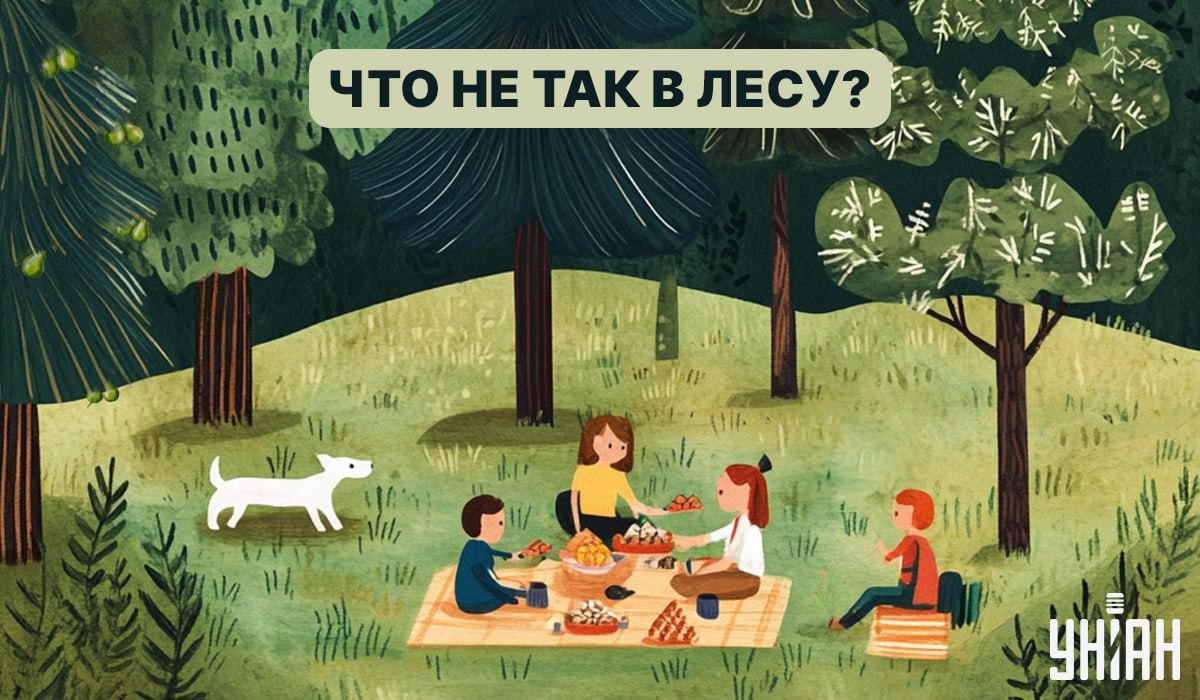 Löydä vika metsästä 5 sekunnissa: nopea älykkyystesti