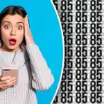 Missä ovat 86 ja 35 piilossa: vain tarkkaavaisimmat löytävät numerot