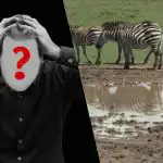 Nopea älykkyystesti: löydä koira pellolta 6 sekunnissa