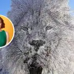 "Suljettu" tai "seuraava" henkilö: mitä optinen illuusio voi kertoa sinusta