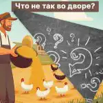 Tarve löytää iso bugi maaseudun pihalta viidessä sekunnissa: hauska älykkyystesti