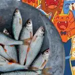 Tarve löytää kaloja kissojen joukosta: hauska palapeli ihmisille, joilla on