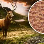 Vain ihmiset, joilla on korkea älykkyysosamäärä, voivat selviytyä tästä: sinun