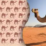 Vain moderni "Sherlock Holmeses" löytää oudon kamelin: arvoitus kaikkein taitavimmille