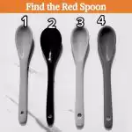 Vain nero löytää valokuvan punaisen lusikan 6 sekunnissa: tarkkaavaisuuden arvoitus