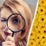 Vain yksi kymmenestä löytää kuvasta peuran 7 sekunnissa: erittäin monimutkainen