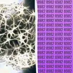 Yksinkertainen älykkyystesti: löydä pariton luku 9 sekunnissa